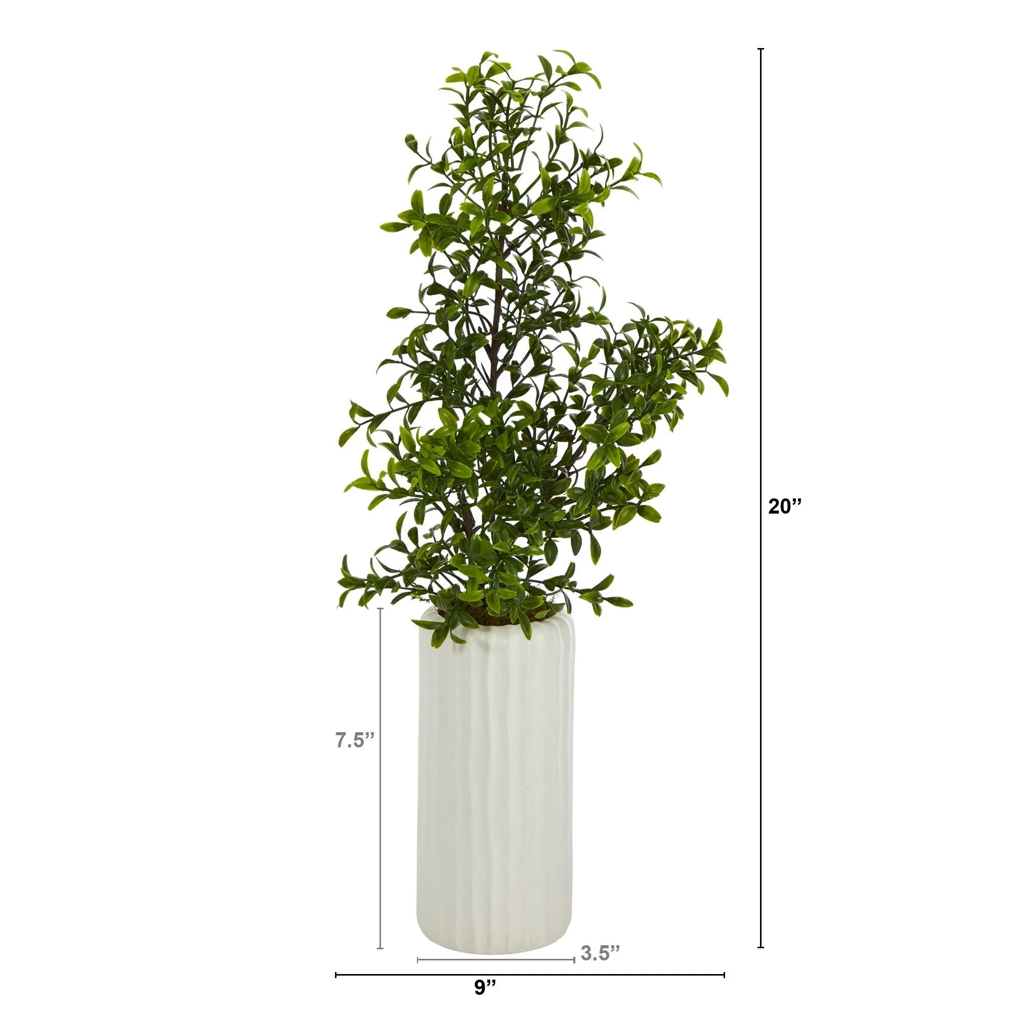 20” Boxwood Artificial Plant in White Planter