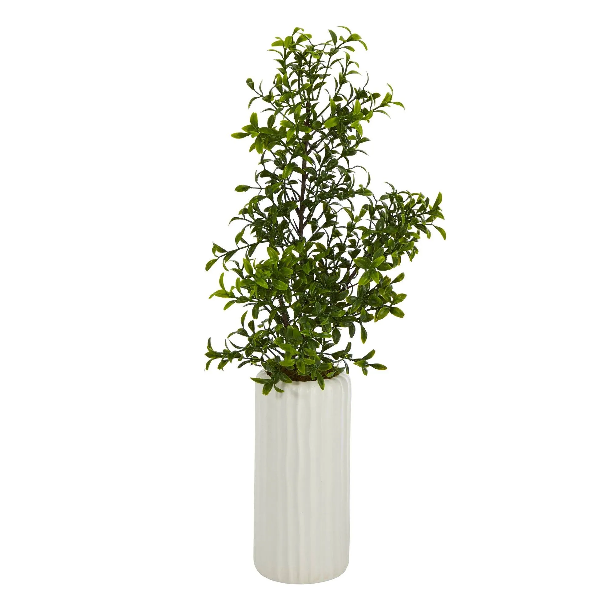 20” Boxwood Artificial Plant in White Planter