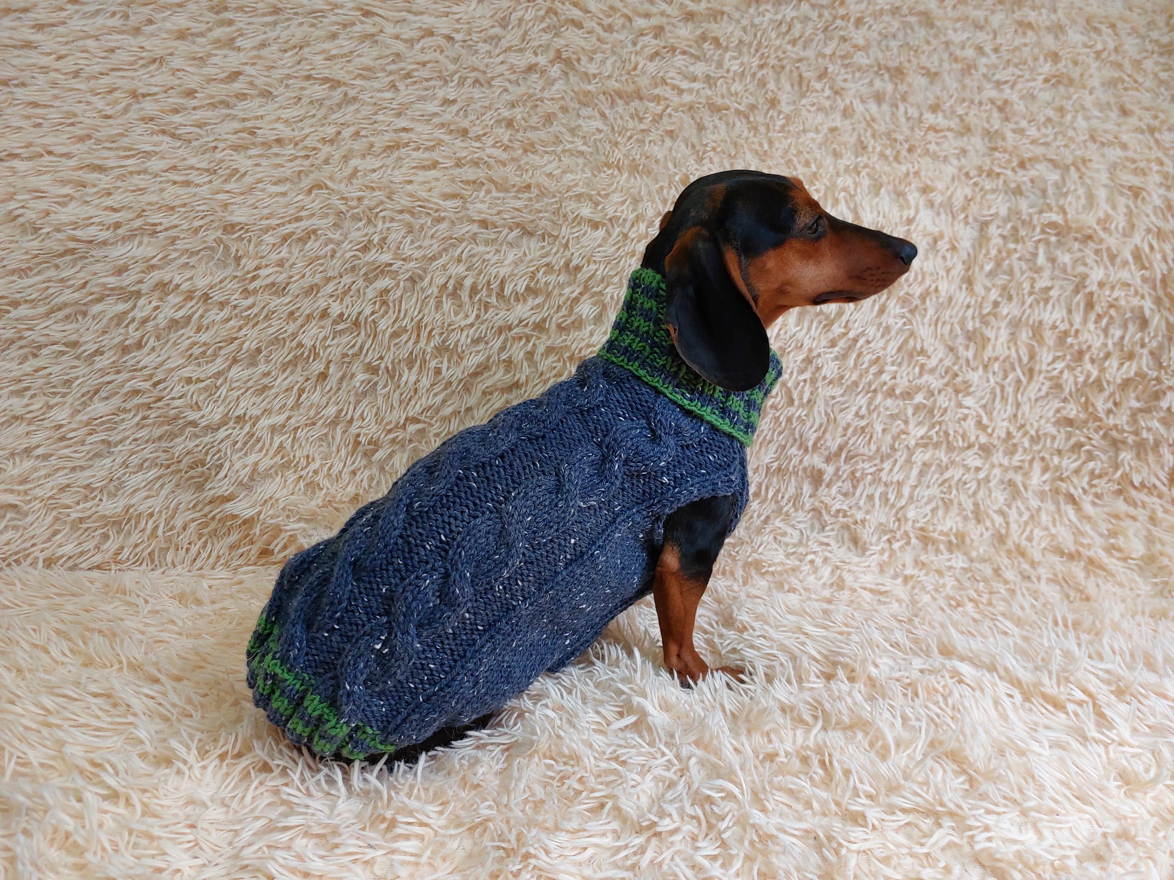 Alpaca wool pet clothes jumper - warm sweater for dog - warm clothes sweater for dachshund