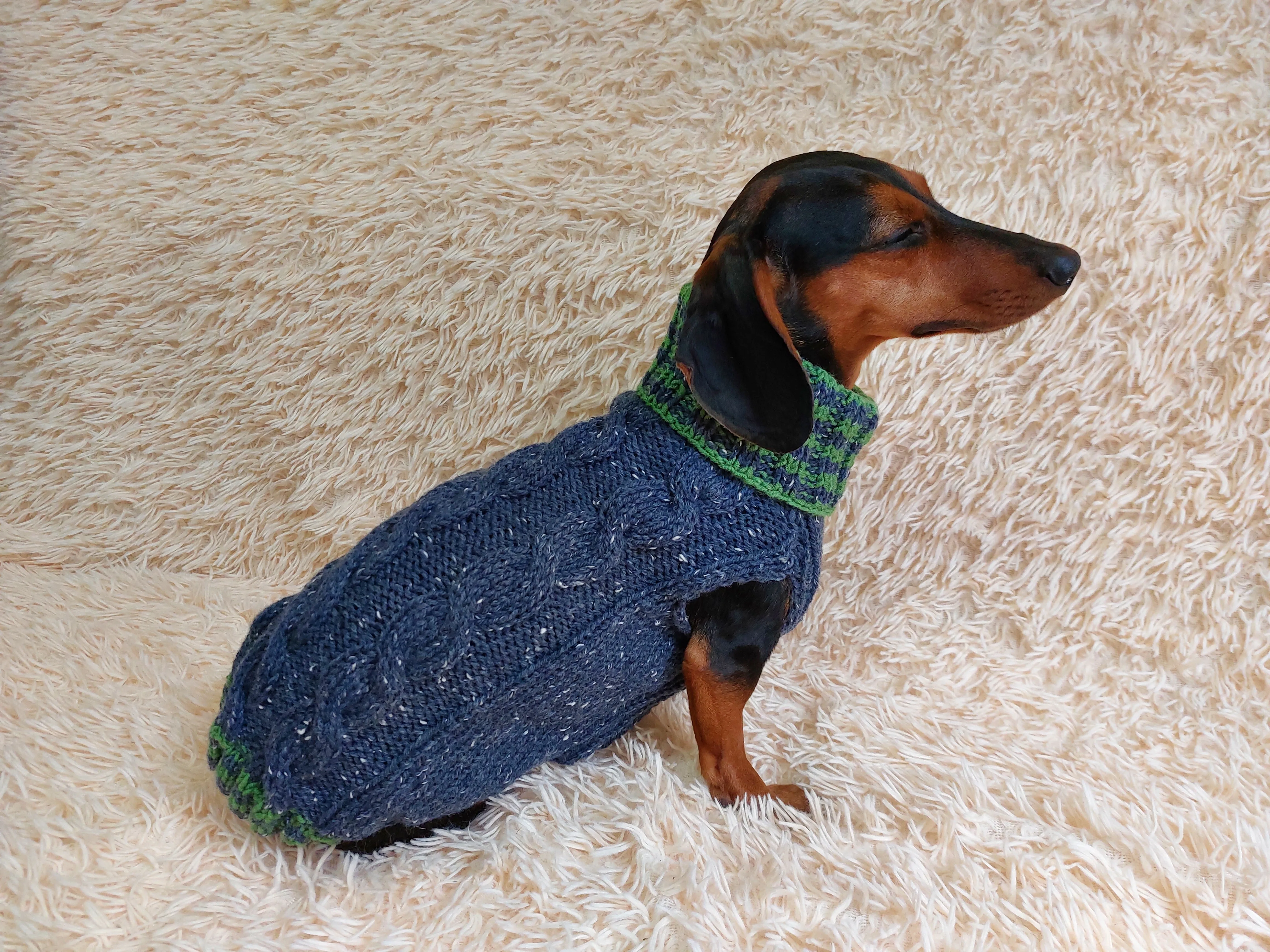 Alpaca wool pet clothes jumper - warm sweater for dog - warm clothes sweater for dachshund