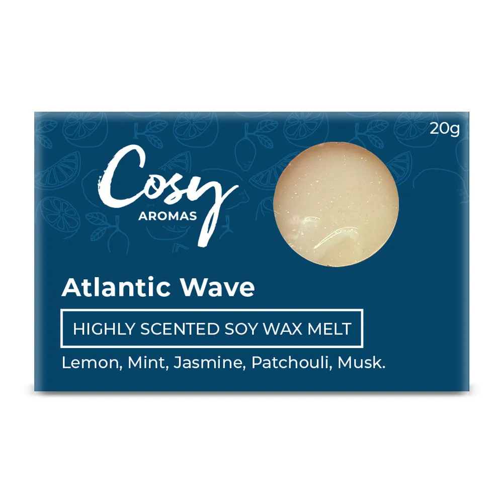 Atlantic Wave Wax Melt