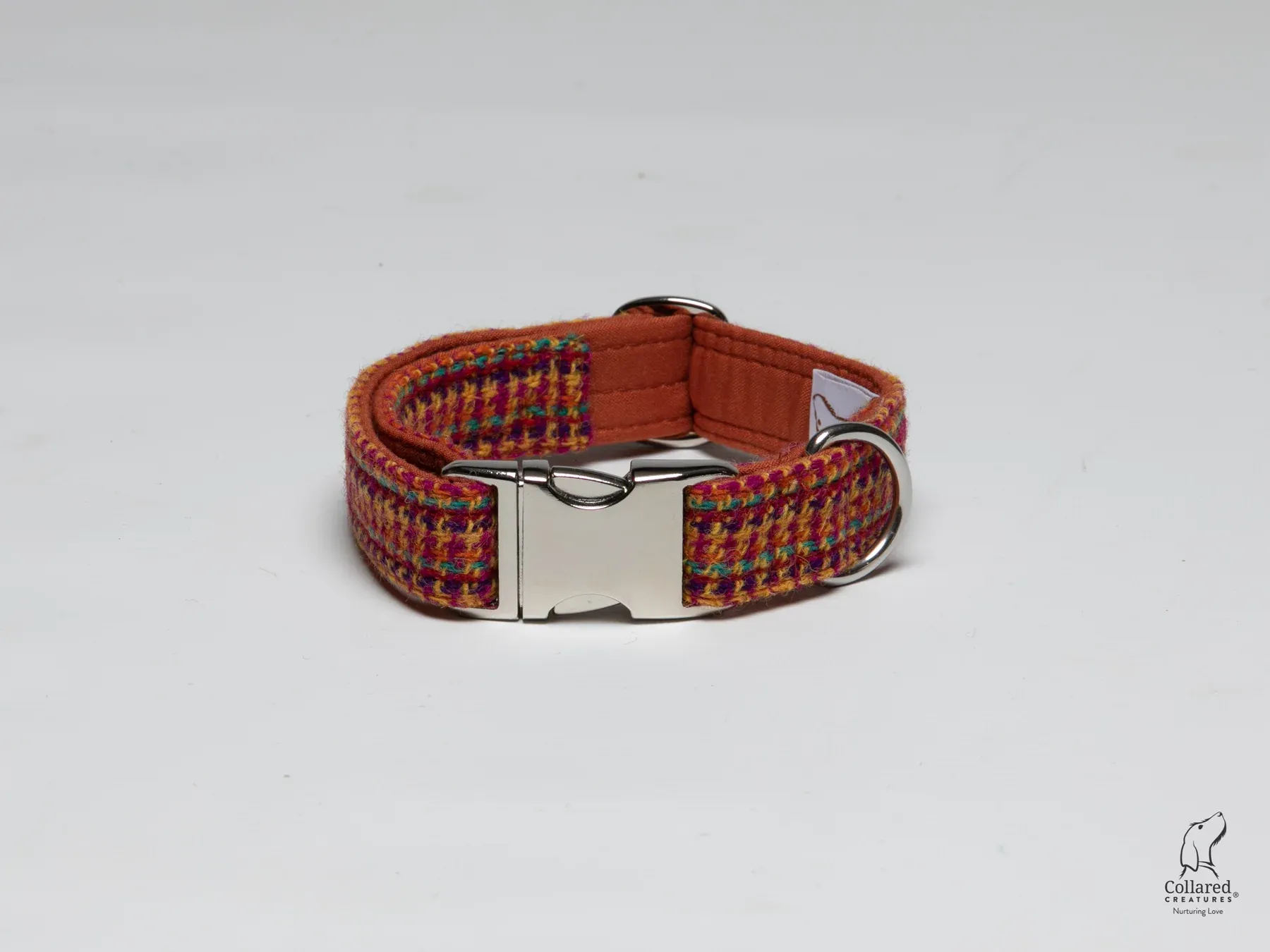 Bright and Bold Extra Large Dog Collar