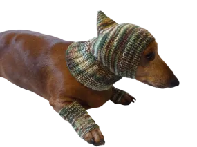 Camouflage kit hat and leggings for dogs, Military kit for dachshunds