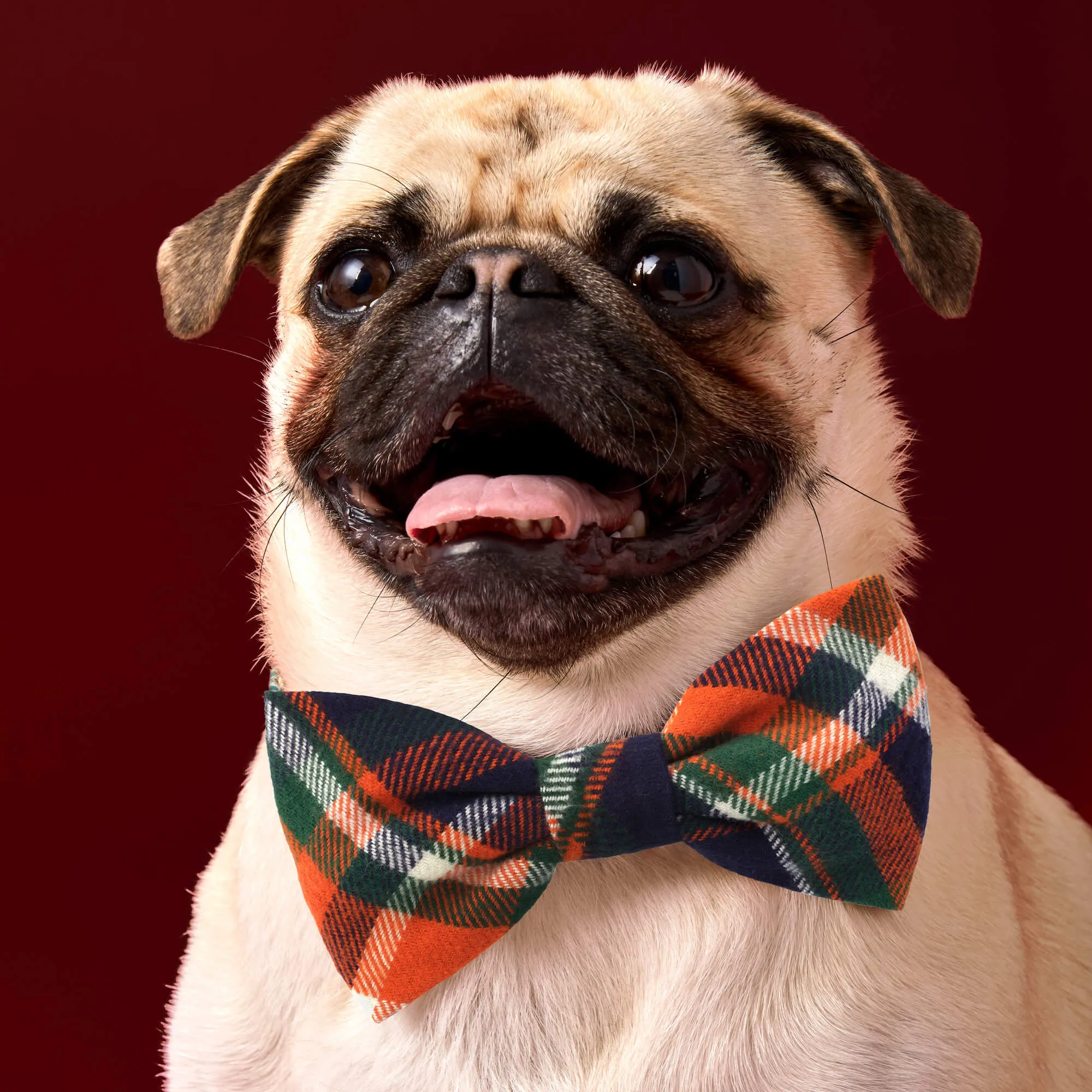 Dakota Plaid Flannel Bow Tie Collar