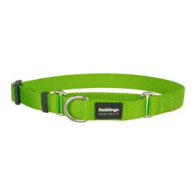 Red Dingo Dog Martingale Collar Lime (20mm x 32-47cm)